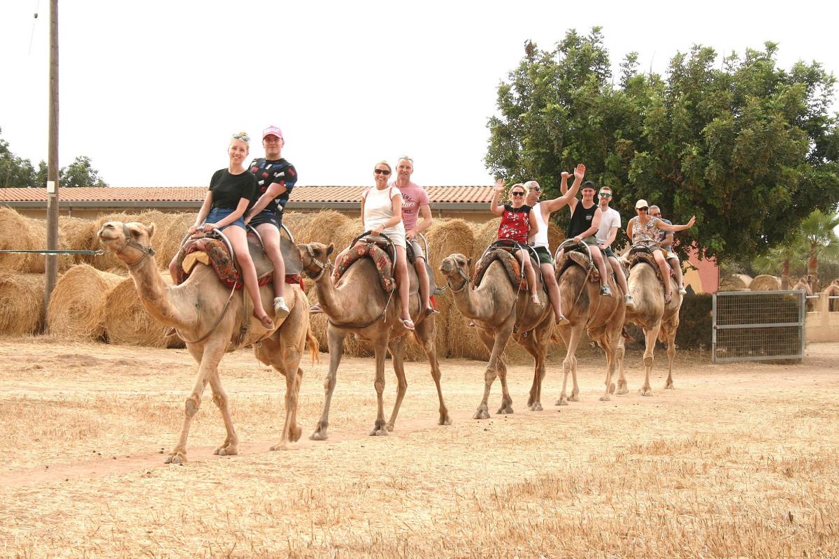 camel park