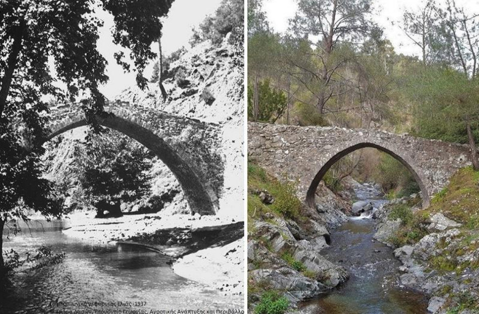 Мост под оливковым деревом
