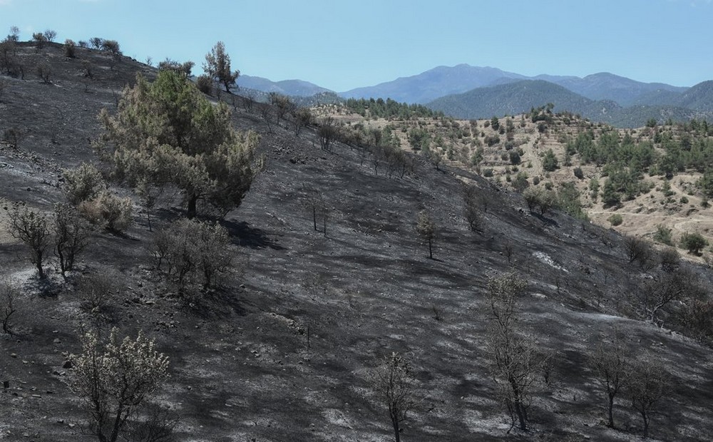 fire ayia marina ksilatou 3 kostas amerikanos