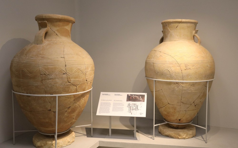 Opening of Larnaka District Archaeological Museum 16 02 2022 5 pio