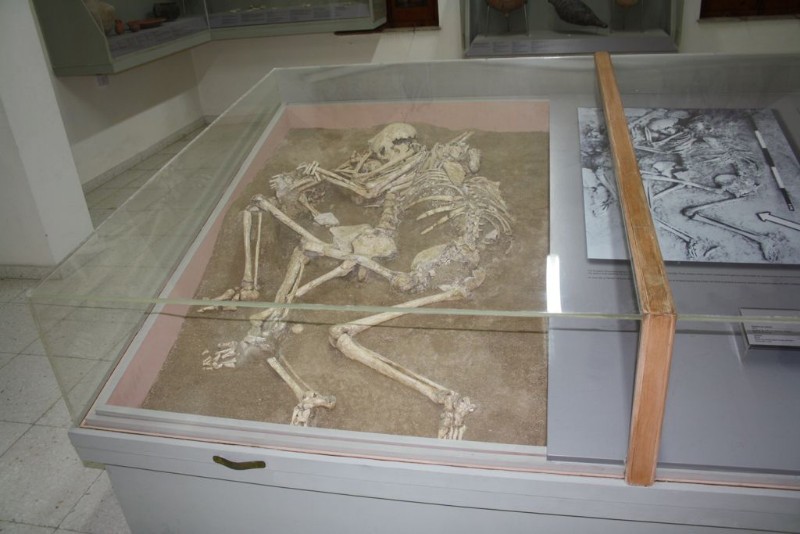 археологический музей куриум bigcyprus1