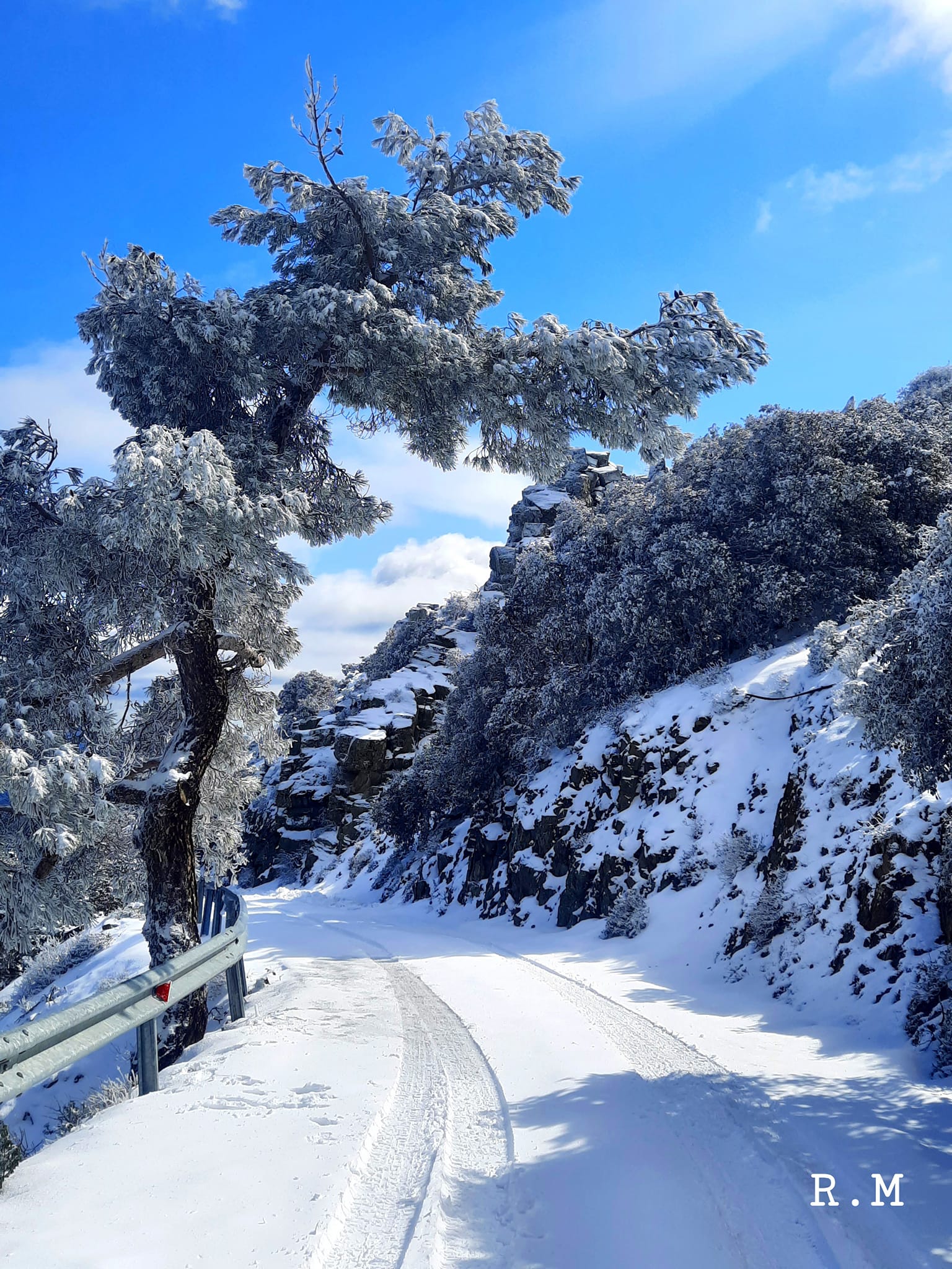 Troodos winter Renata Monika 11 02 2022 1