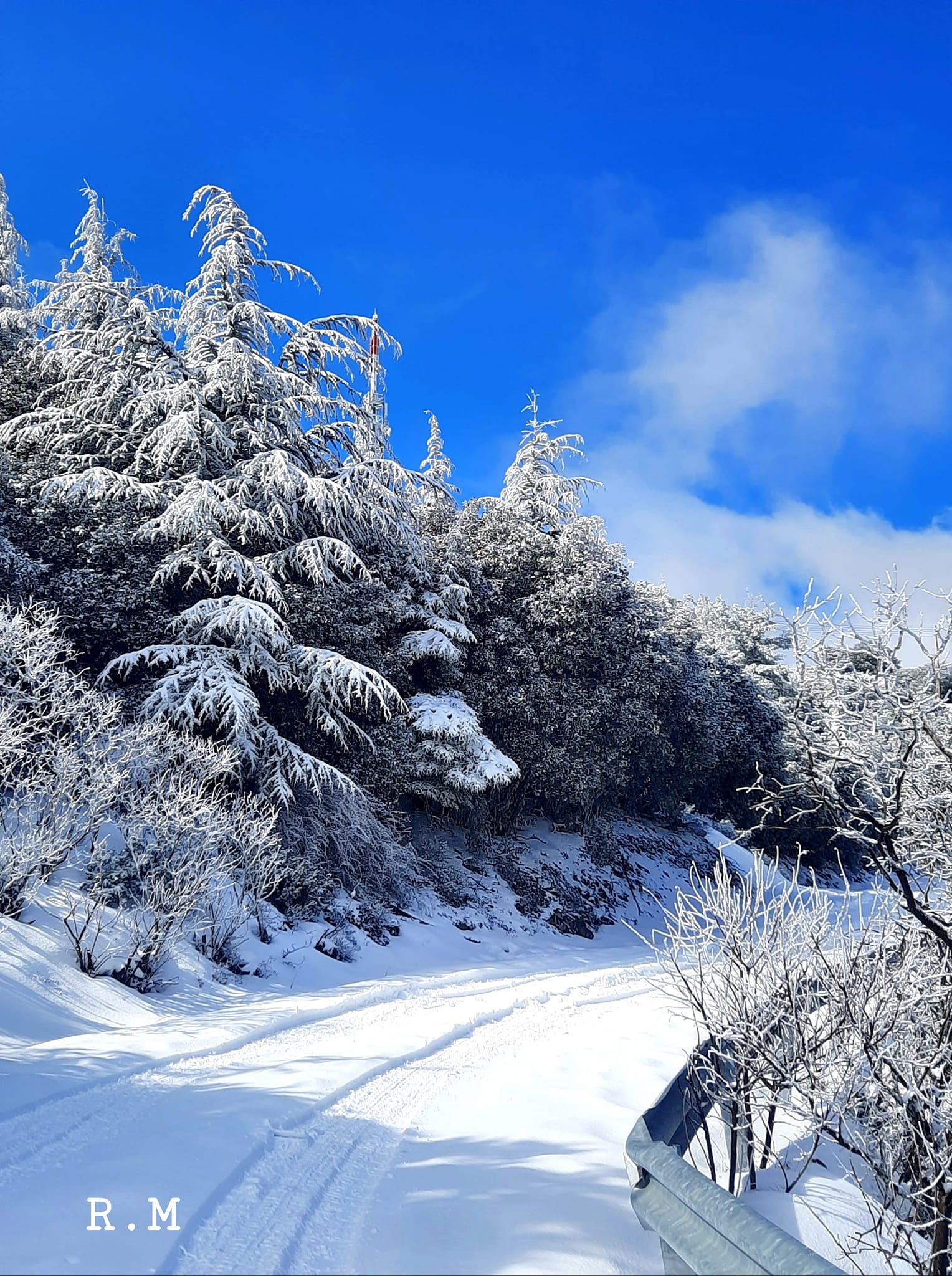 Troodos winter Renata Monika 11 02 2022 2