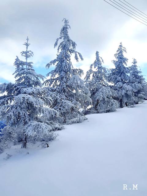 Troodos winter Renata Monika 11 02 2022 3