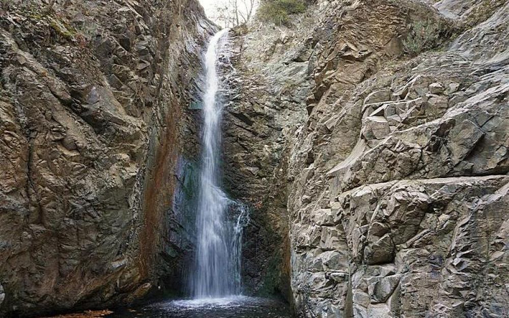 Водопад пальмовый мезмай фото