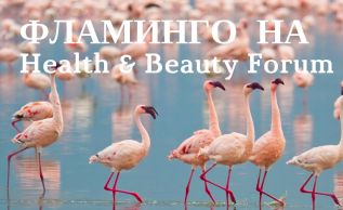 Ваше фото фламинго на форуме Health and Beauty