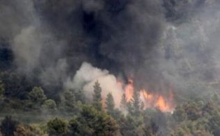 Пожары в Лимассоле под контролем