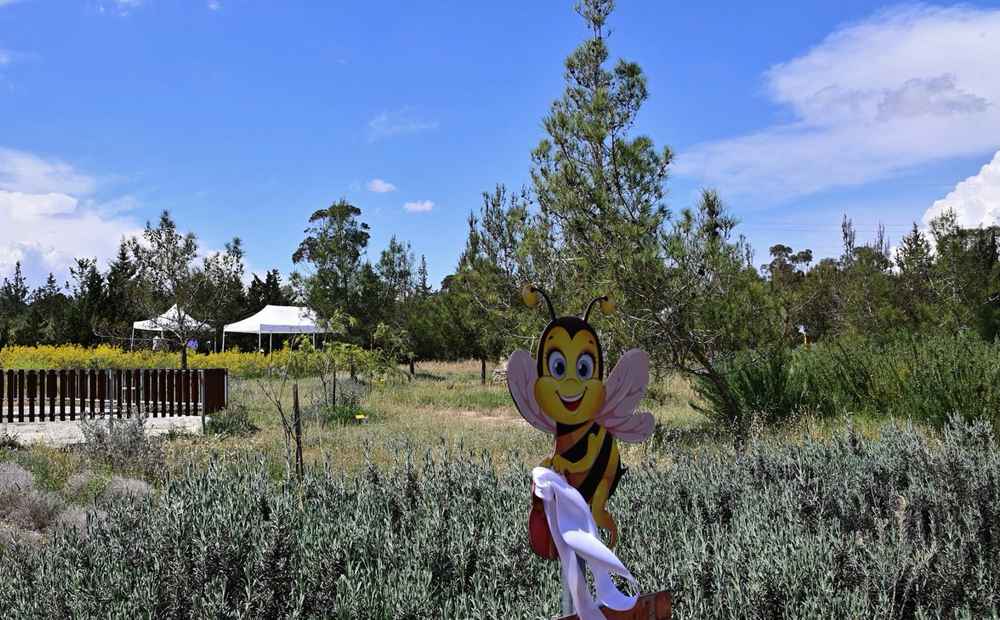 Пчелиный парк в Аталасса