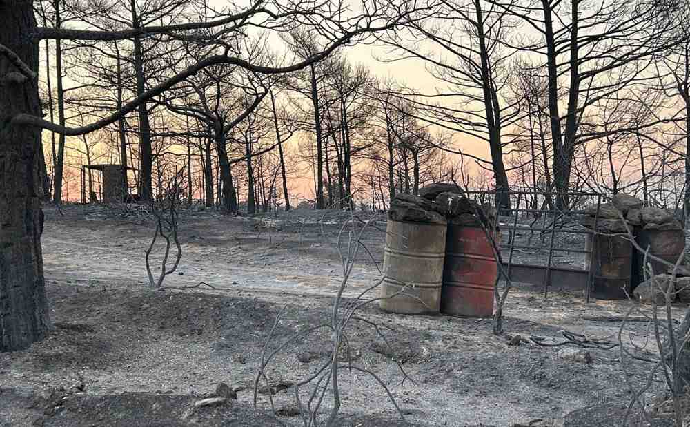Суни после пожара: помощь все еще нужна