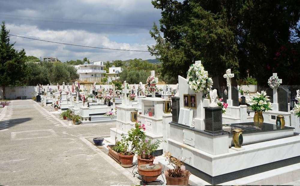 В Лимассоле расследуют массовое отравление кошек