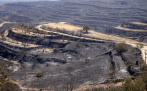 Выженная земля после пожара в Лимассоле